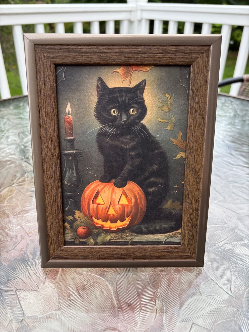 Framed Black Cat Halloween Art Print with Orange Jack-O'-Lantern